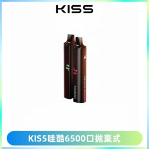 KIS5WAGOO哇酷6500口拋棄式 | 自由混搭雙口味 | 雙芯組合