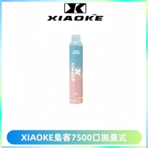 XIAOKE梟客7500Puffs跑馬燈拋棄式電子煙 可發光一次性